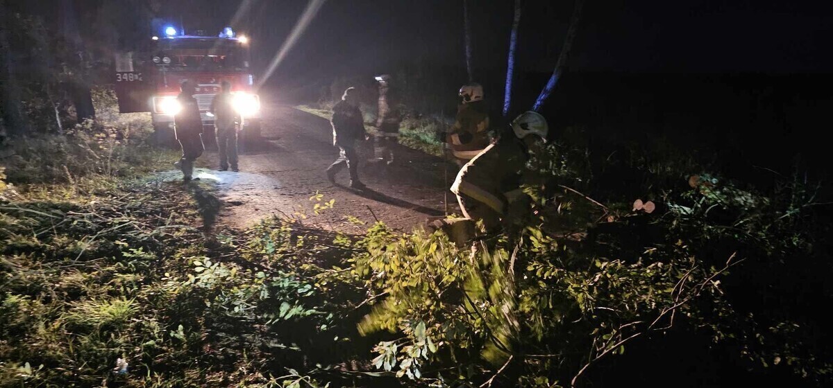 Przewrócone drzewo na jezdni. Droga jest zablokowana