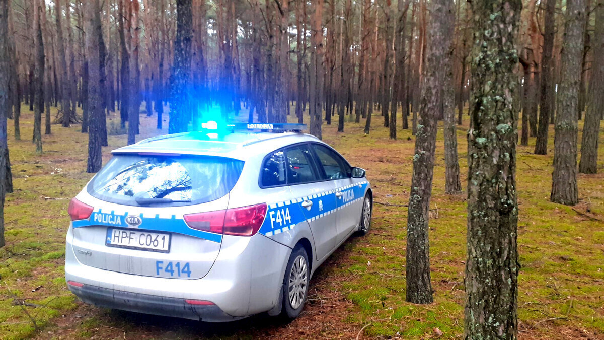 Policja apeluje Bezpieczne grzybobranie zależy od nas samych