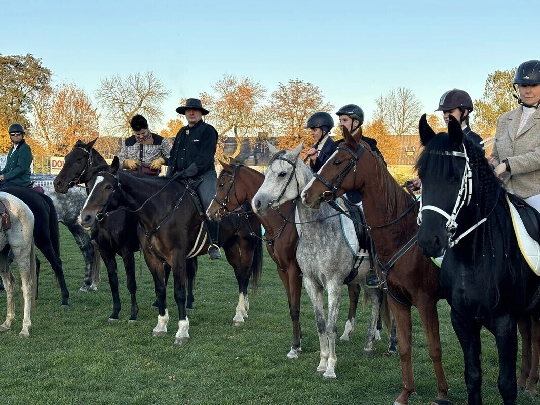Hubertus w Bogusławicach za nami FILM