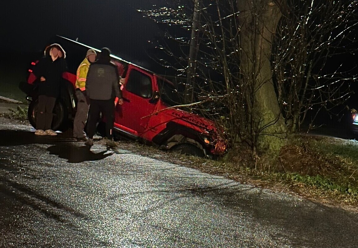 Jazdę zakończył na drzewie