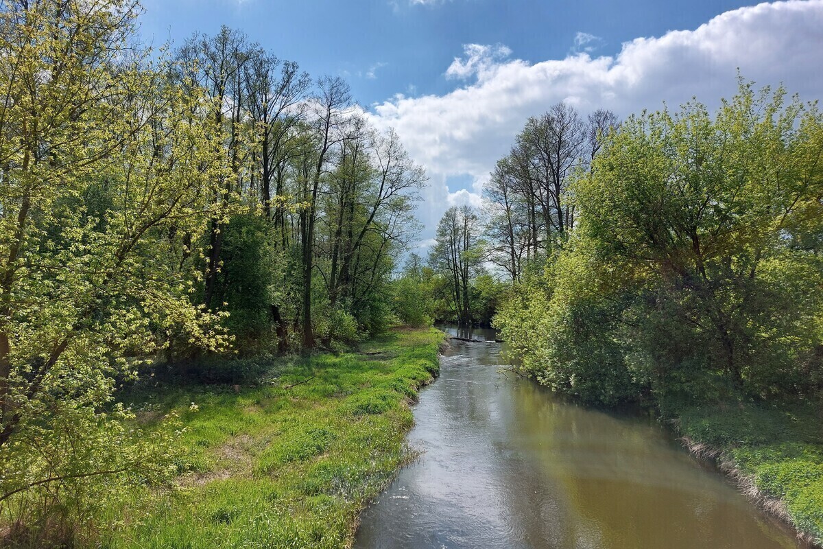 Parki krajobrazowe Województwa Łódzkiego pod specjalną ochroną