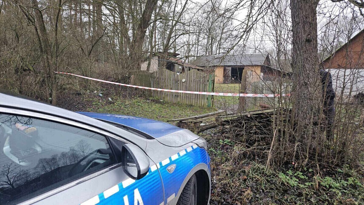 Kto zagryzł mieszkańca gminy Sulejów