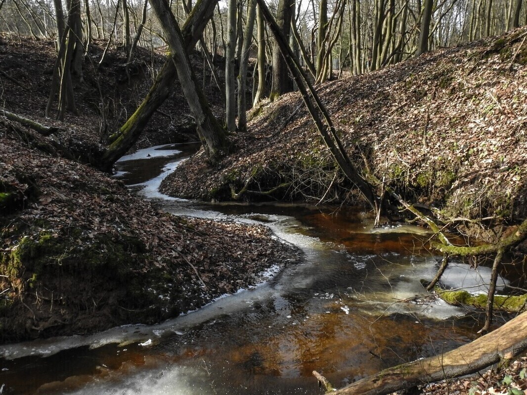 Trzy nowe rezerwaty w województwie