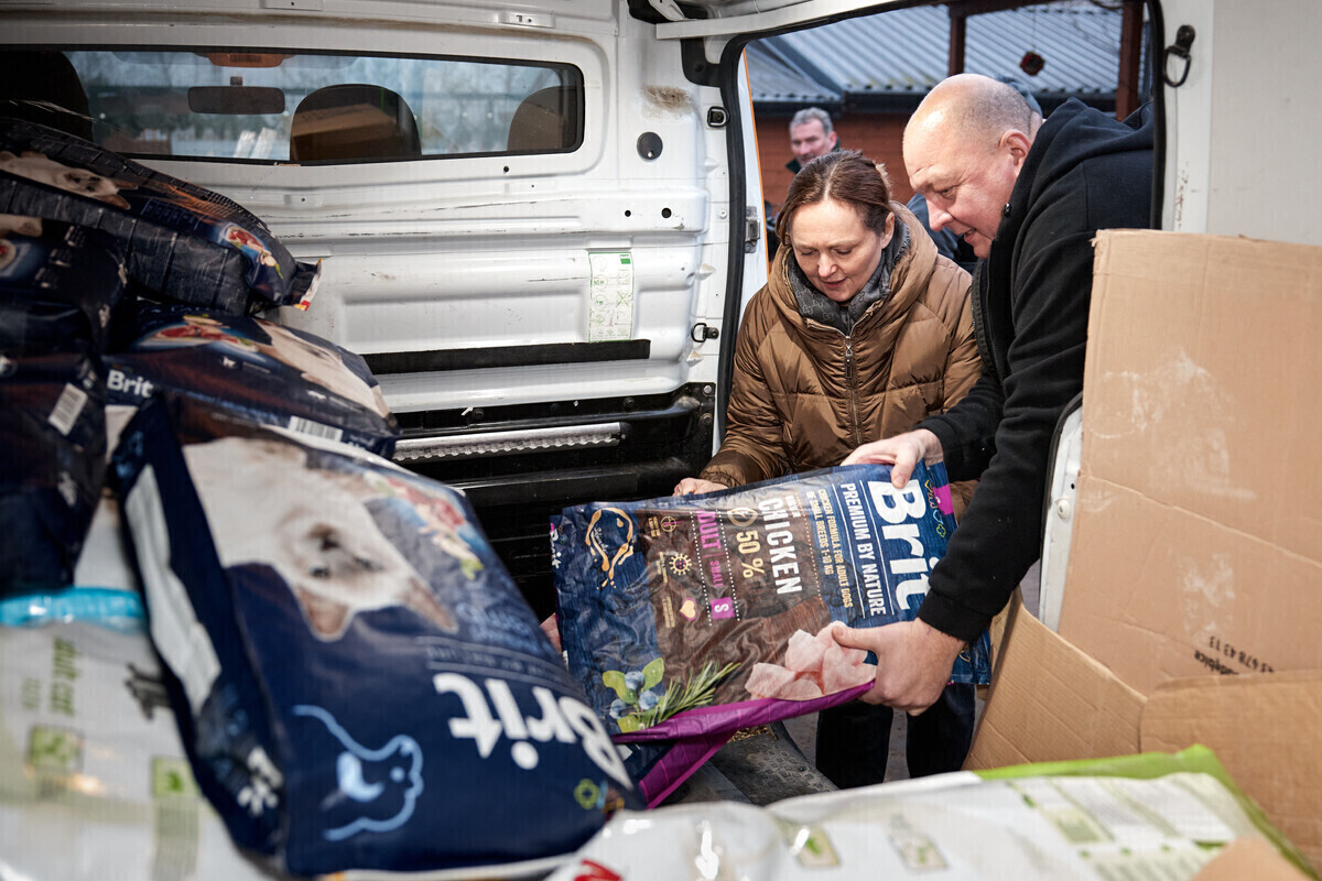 Świąteczne prezenty dla zwierząt w schroniskach