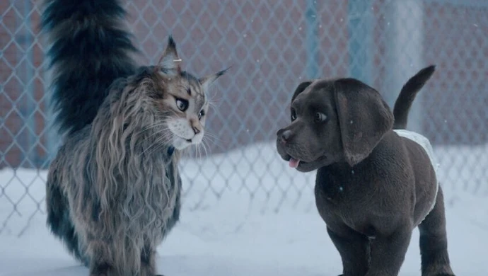 Kolejne nowości na dużym ekranie