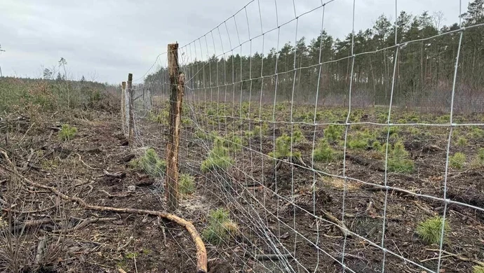 Siatka leśna - szybkie i tanie ogrodzenie budowy