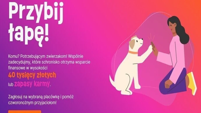 Trwa akcja &#8222;Przybij łapę&#8221;. Zagłosuj na schronisko w Piotrkowie