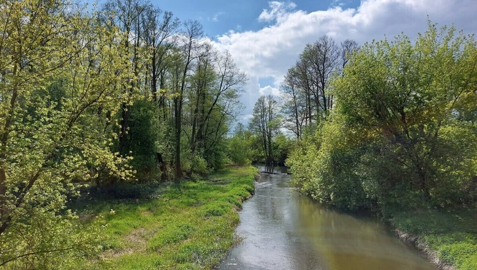 Parki krajobrazowe Województwa Łódzkiego pod specjalną ochroną