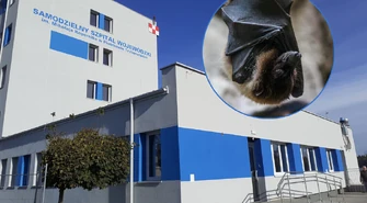 Taka wizyta nie zdarza się co dzień. Skrzydlaty gość odwiedził szpital