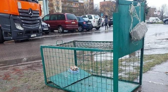 Klatka przy Matejki. Schronisko apeluje!