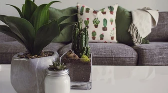 Poduszki dekoracyjne &#8211; must have w każdym domu