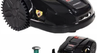 Gdzie Polacy najchętniej kupują kosiarki i jakie rodzaje są najpopularniejsze?