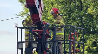 Konary wisiały nad jezdnią. Interweniowała straż pożarna