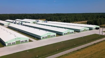 Zielone Fermy Wipasz S.A. odchowują kurczęta bez antybiotyków i GMO