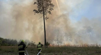 Duży pożar lasu w gminie Aleksandrów. W gaszeniu pomagał Dromader. W akcji udział wzięło 36 strażaków z naszego regionu