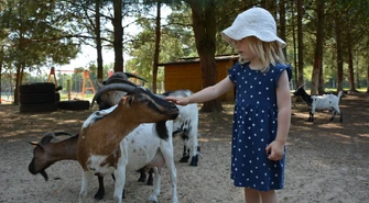 Hubisiówka - niezwykłe mini zoo w regionie