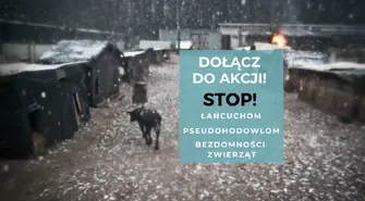 Nie chcą łańcuchów dla psów