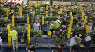 Rozpoczął się drugi dzień Festiwalu Roślin w Piotrkowie. Sprawdź, co kupili dziś mieszkańcy