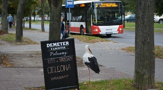 Bocian zamieszkał na osiedlu Słowackiego