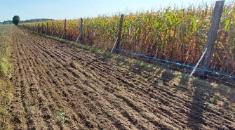 Elektryzator Chapron Sec 15&nbsp;000 najskuteczniejszym pastuchem elektrycznym na dziki