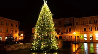 Jodła kaukaska i iluminacje już rozświetlają rynek