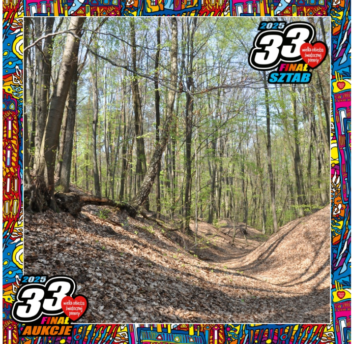 Zespół Parków Krajobrazowych w Łódzkiem gra z WOŚP