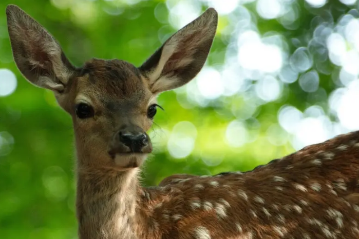 Co nowego w kinie Helios