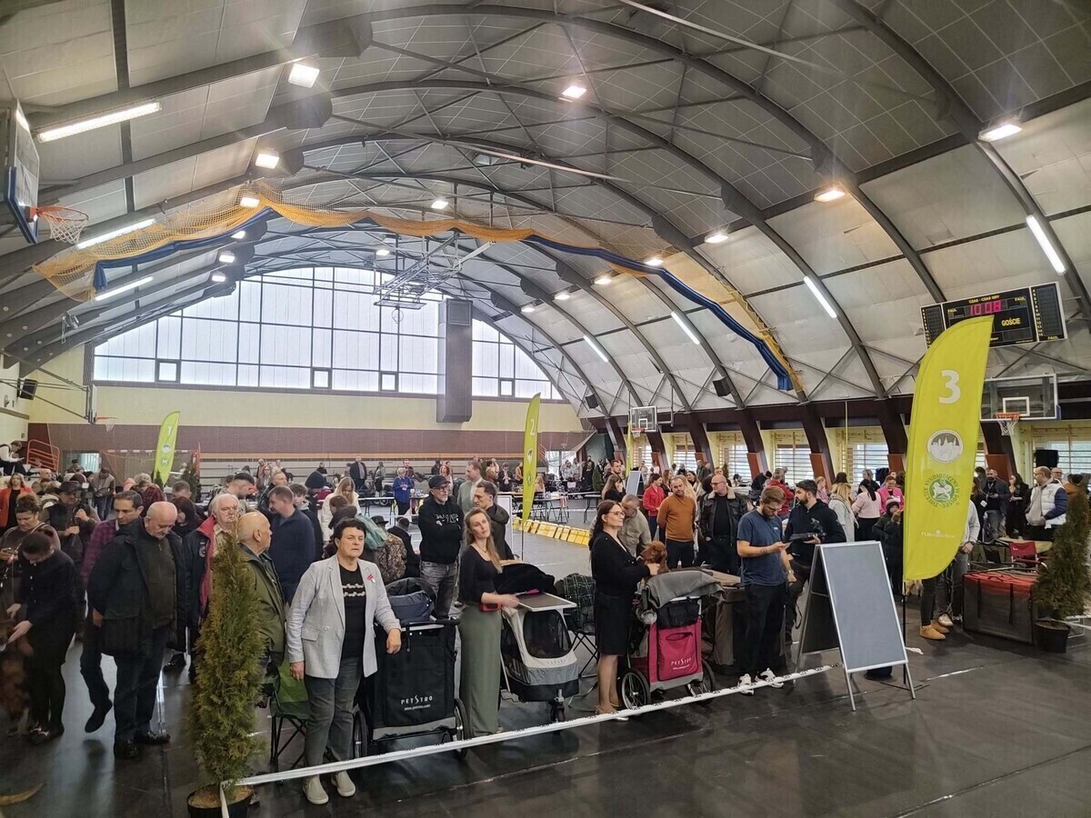 Za nami IV Krajowa Wystawa Psów Ras Myśliwskich w Moszczenicy