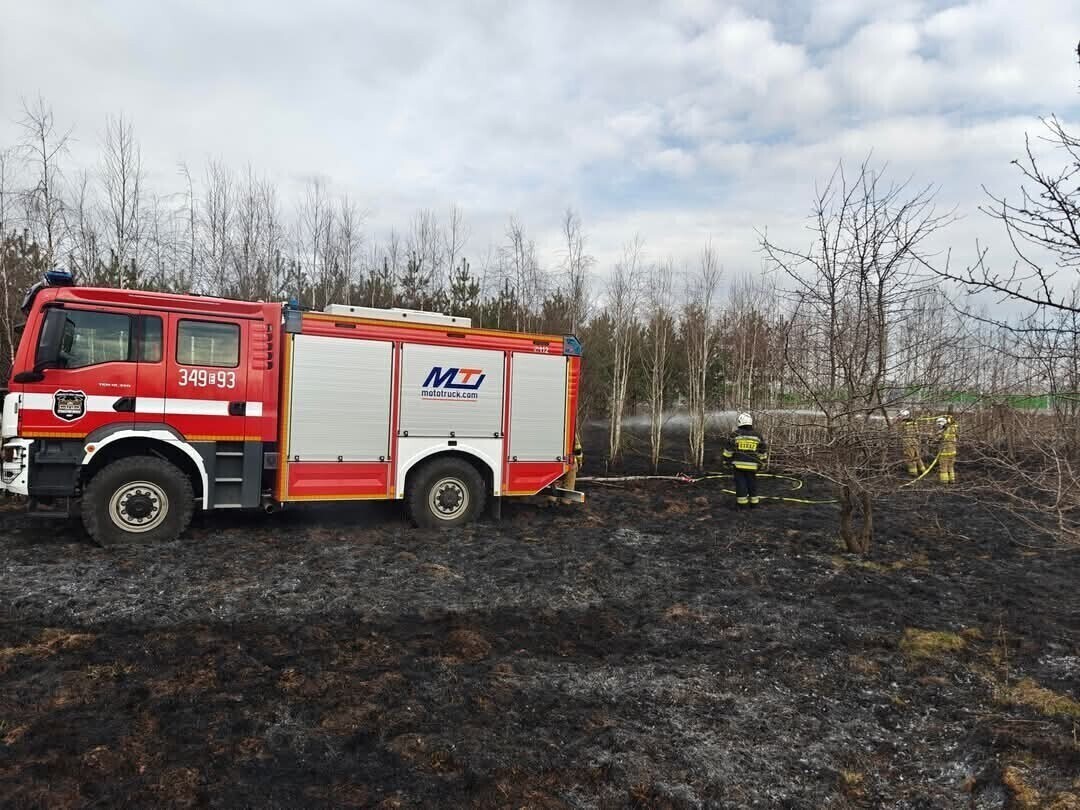 Pożar poszycia leśnego w miejscowości Poraj