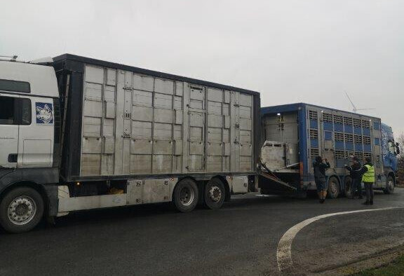 Nocne kontrole ITD w okolicach Piotrkowa Trybunalskiego