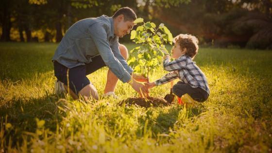 Lasy na nowe 100-lecie wielka akcja sadzenia drzew z okazji Międzynarodowego Dnia Lasów