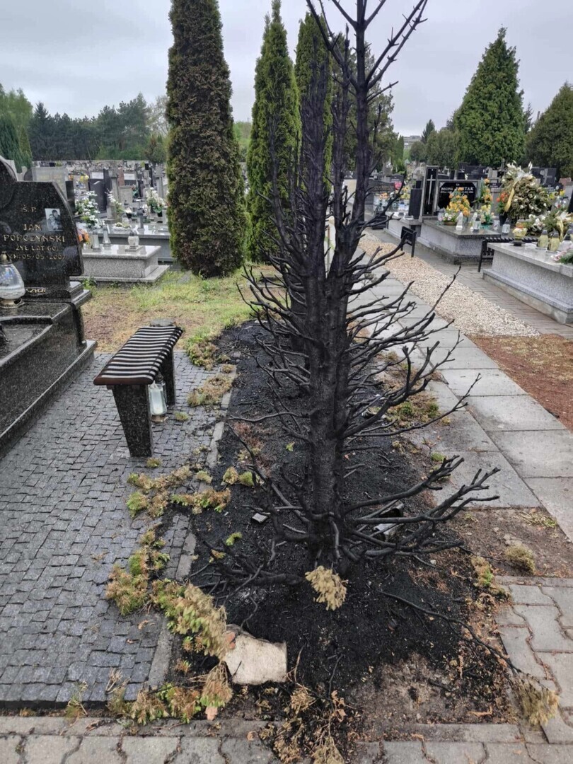 Podpalony nagrobek i groźby. Co spotkało piotrkowiankę popierającą swojego kandydata