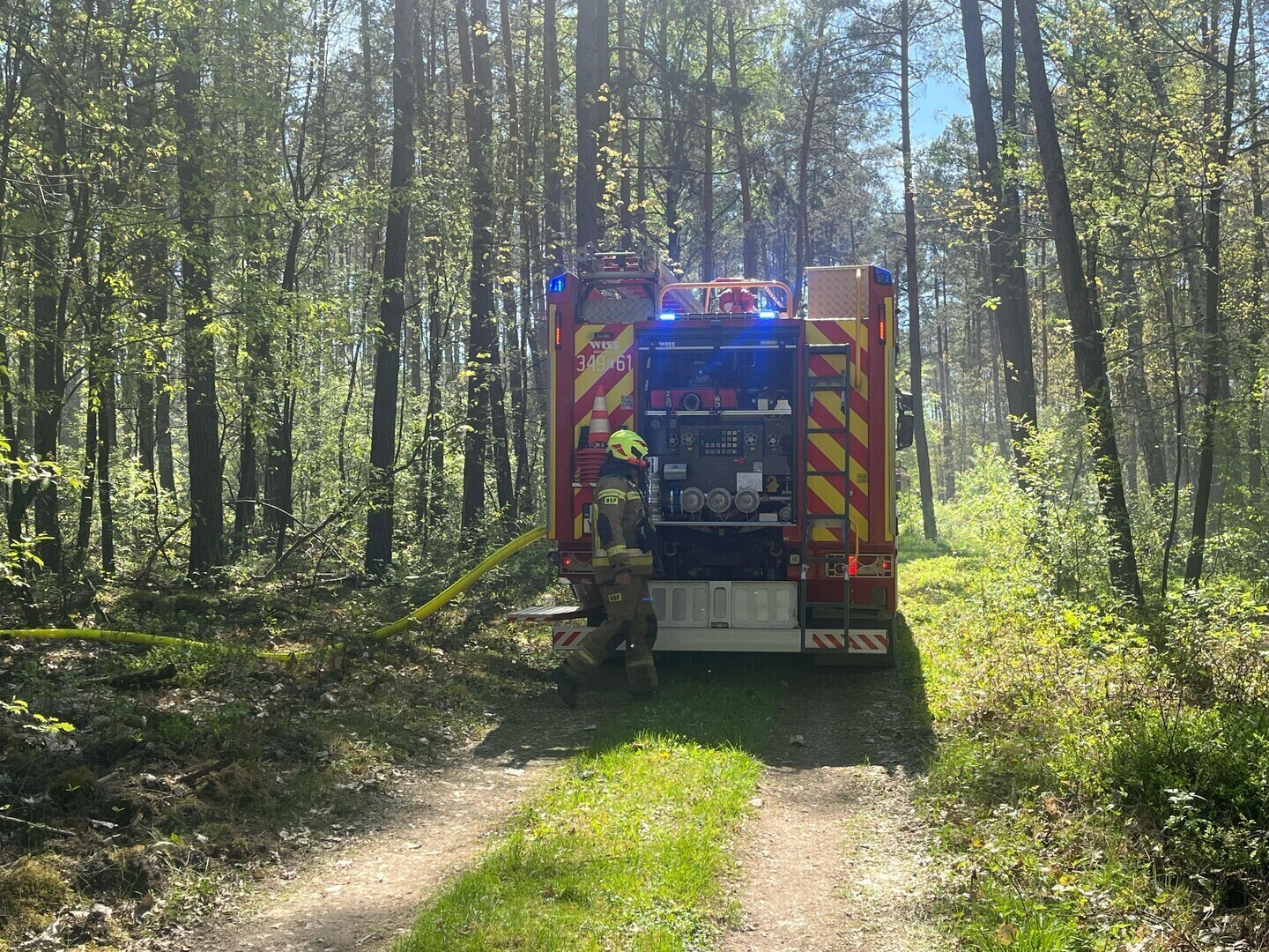 Pożar lasu wolborskiego w Piotrkowie. W akcji uczestniczył samolot gaśniczy