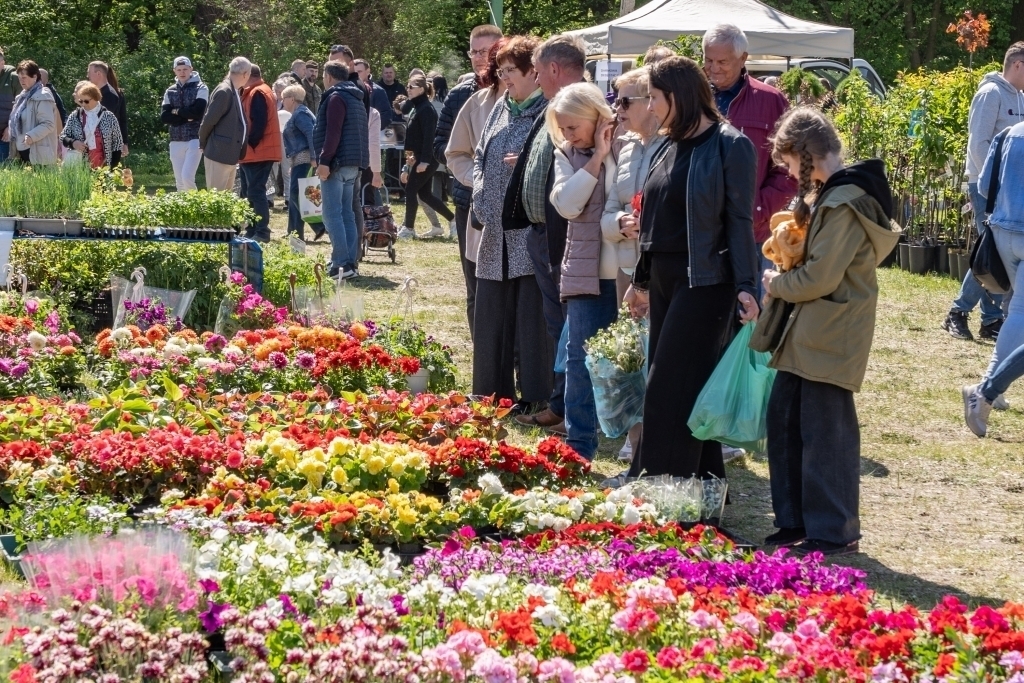 Co się będzie działo w ten weekend w regionie Sprawdź
