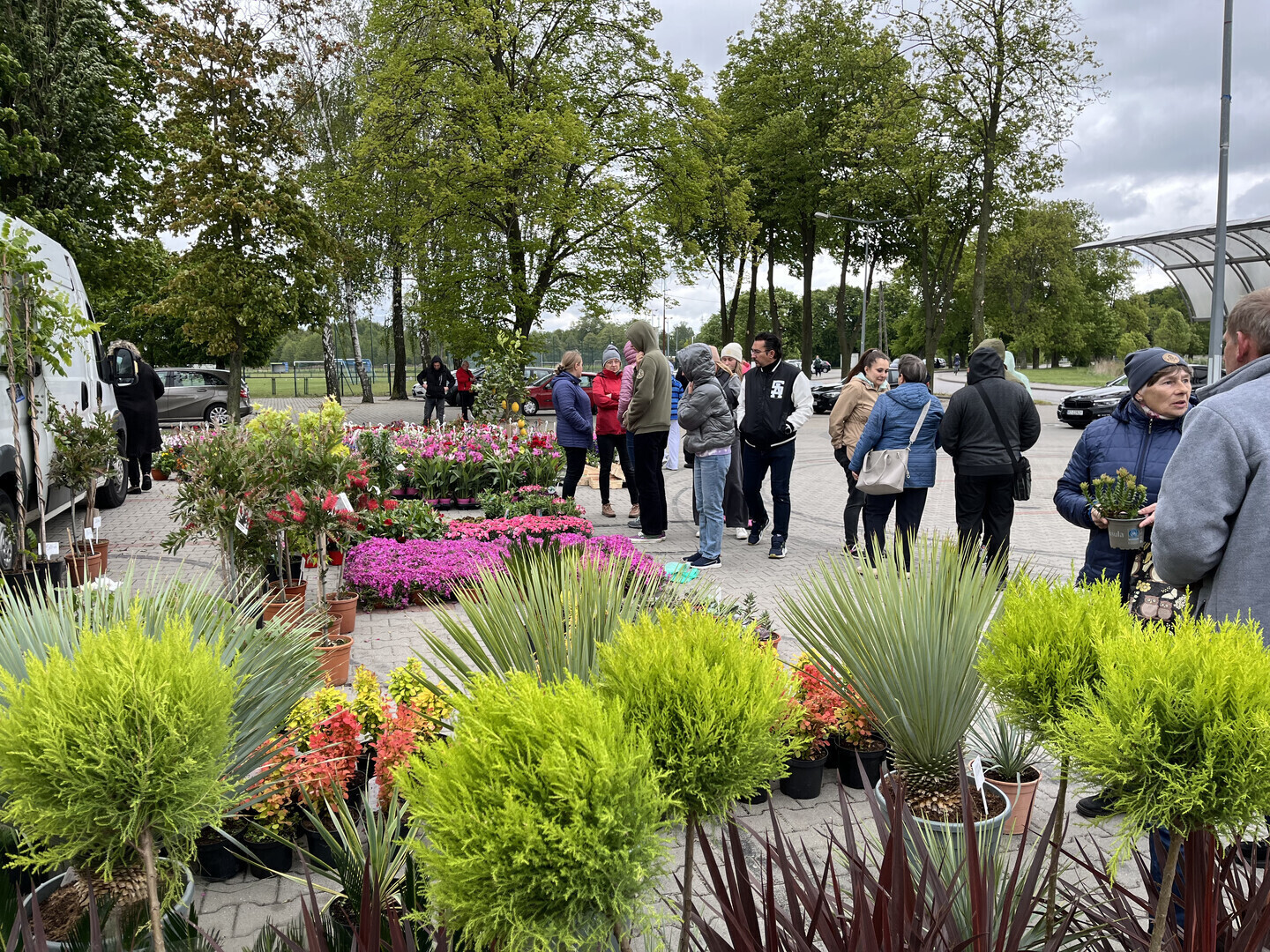 Sukces pierwszych ogrodniczych targów w Moszczenicy miłośnicy zieleni dopisali