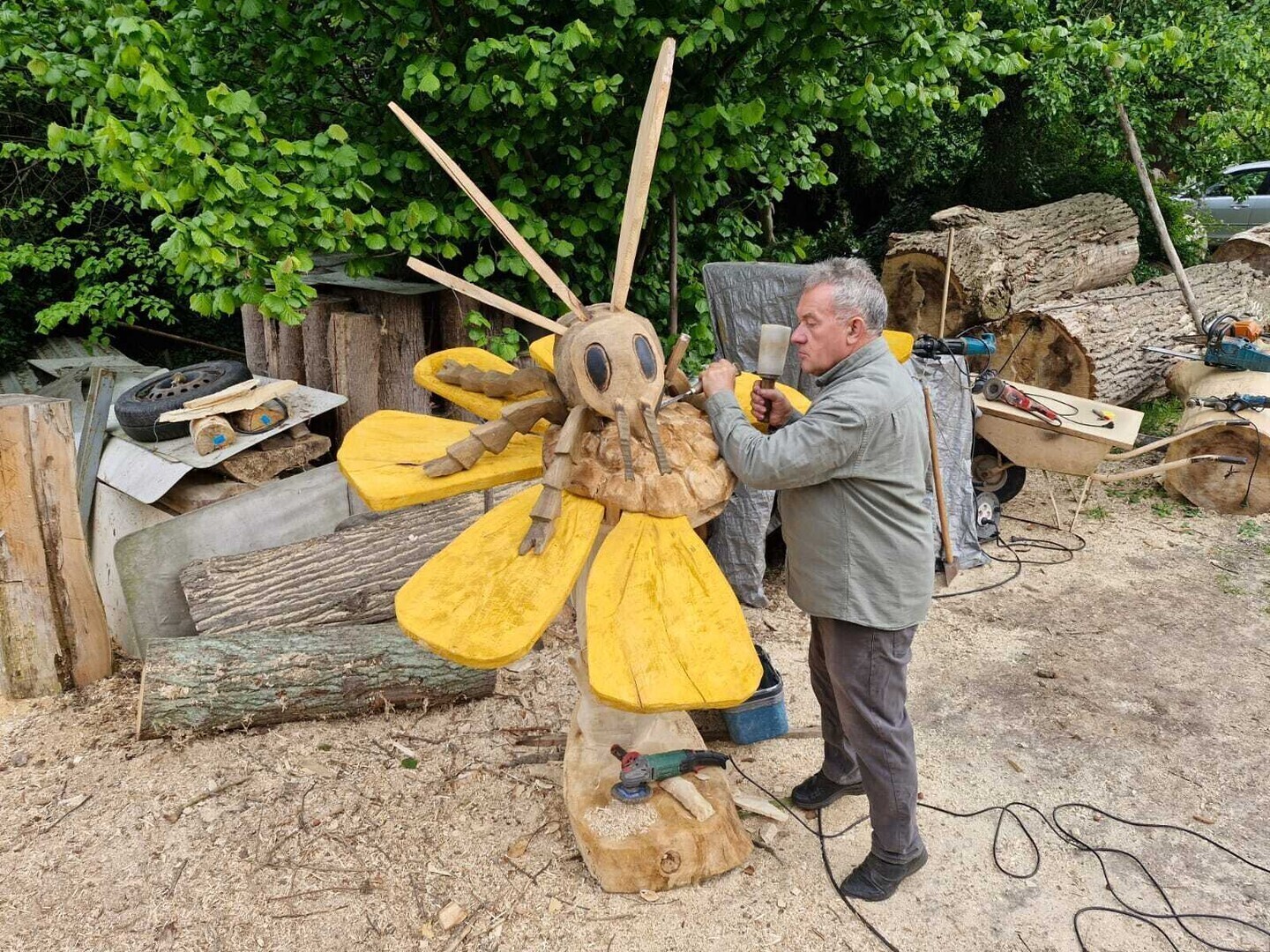 Przyjdź i poznaj fascynujący świat pszczół