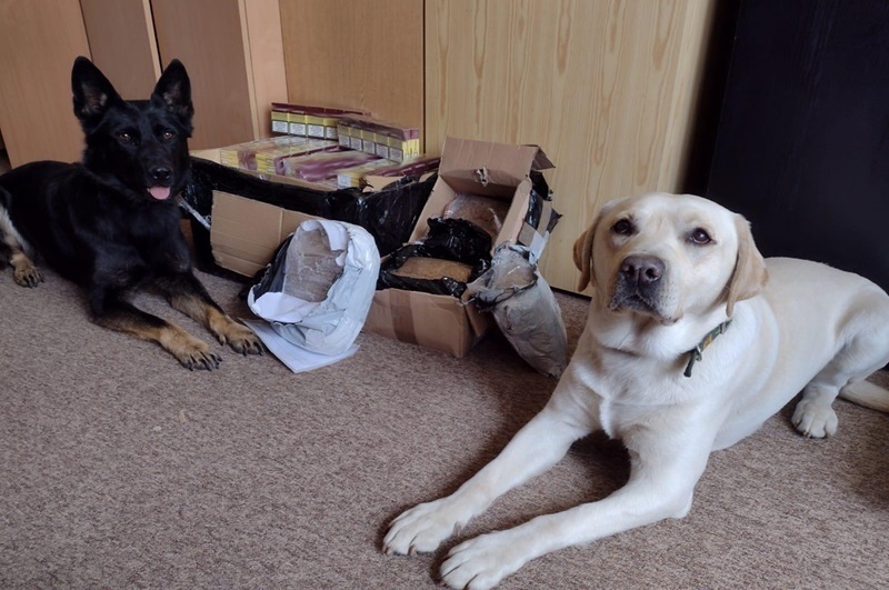 KAS znalazła w przesyłkach kurierskich nielegalnie przesyłane pieniądze i wyroby akcyzowe