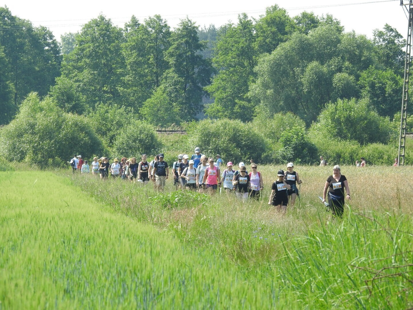 Pieszy II Rajd- Przez Pola i Lasy w Woli Krzysztoporskiej