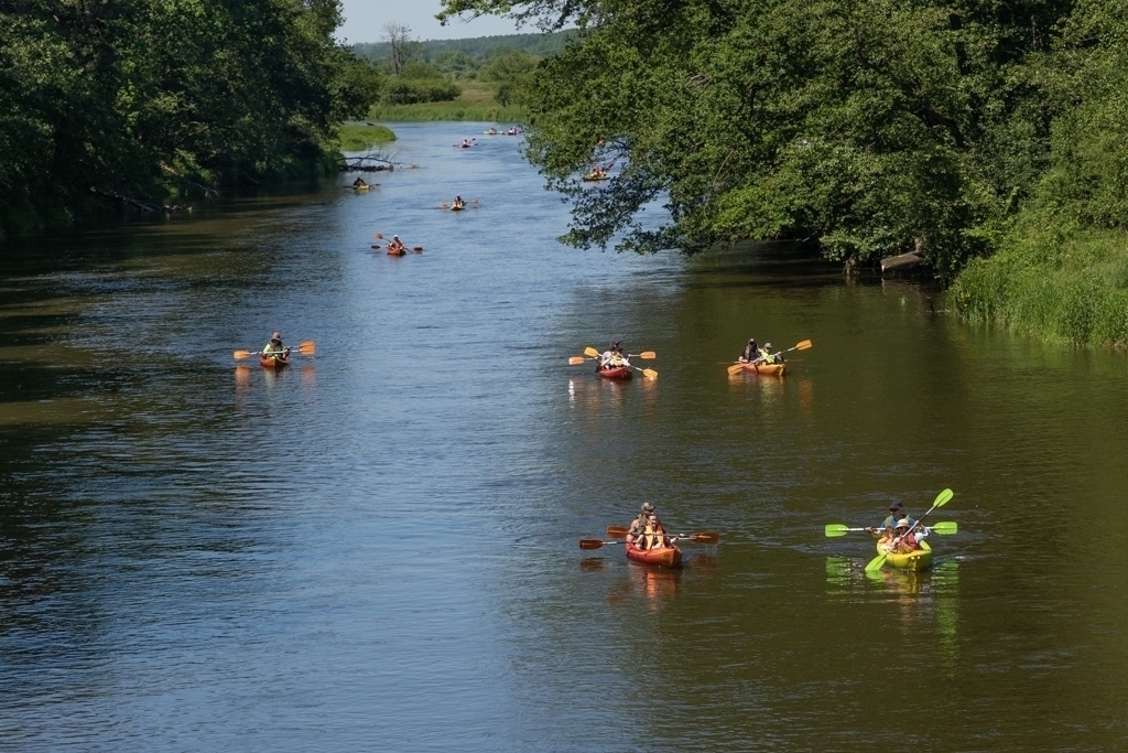 Województwo Łódzkie zaprasza na specjalistyczne spływy rzeką Pilicą. Mogą wziąć w nich udział osoby z niepełnosprawnościami oraz seniorzy z Piotrkowa Trybunalskiego