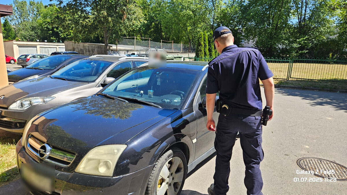 W upały nie pozostawiajmy nikogo w samochodzie. Także zwierząt