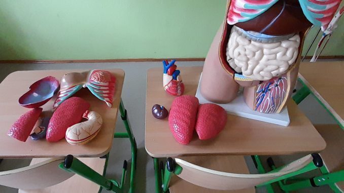 Ekopracownia inwestycja w przyszłość i edukację uczniów Szkoły Podstawowej w Parzniewicach