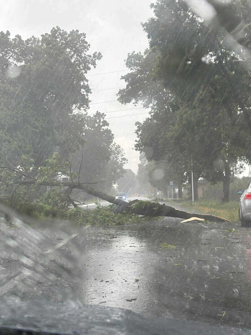 Ulewa nad Piotrkowem. Zalane piwnice i ulice utrudnienia na A1