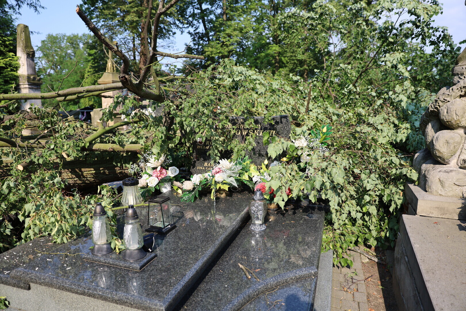 Drzewo znów przewaliło się na nagrobki. Duże zniszczenia na piotrkowskich cmentarzach. Uszkodzone zabytkowe groby