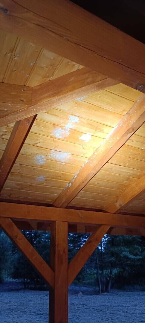 Nowa altana na Zielonej Plaży przetrwała tylko kilka dni wandale zdewastowali miejsce odpoczynku we Włodzimierzowie