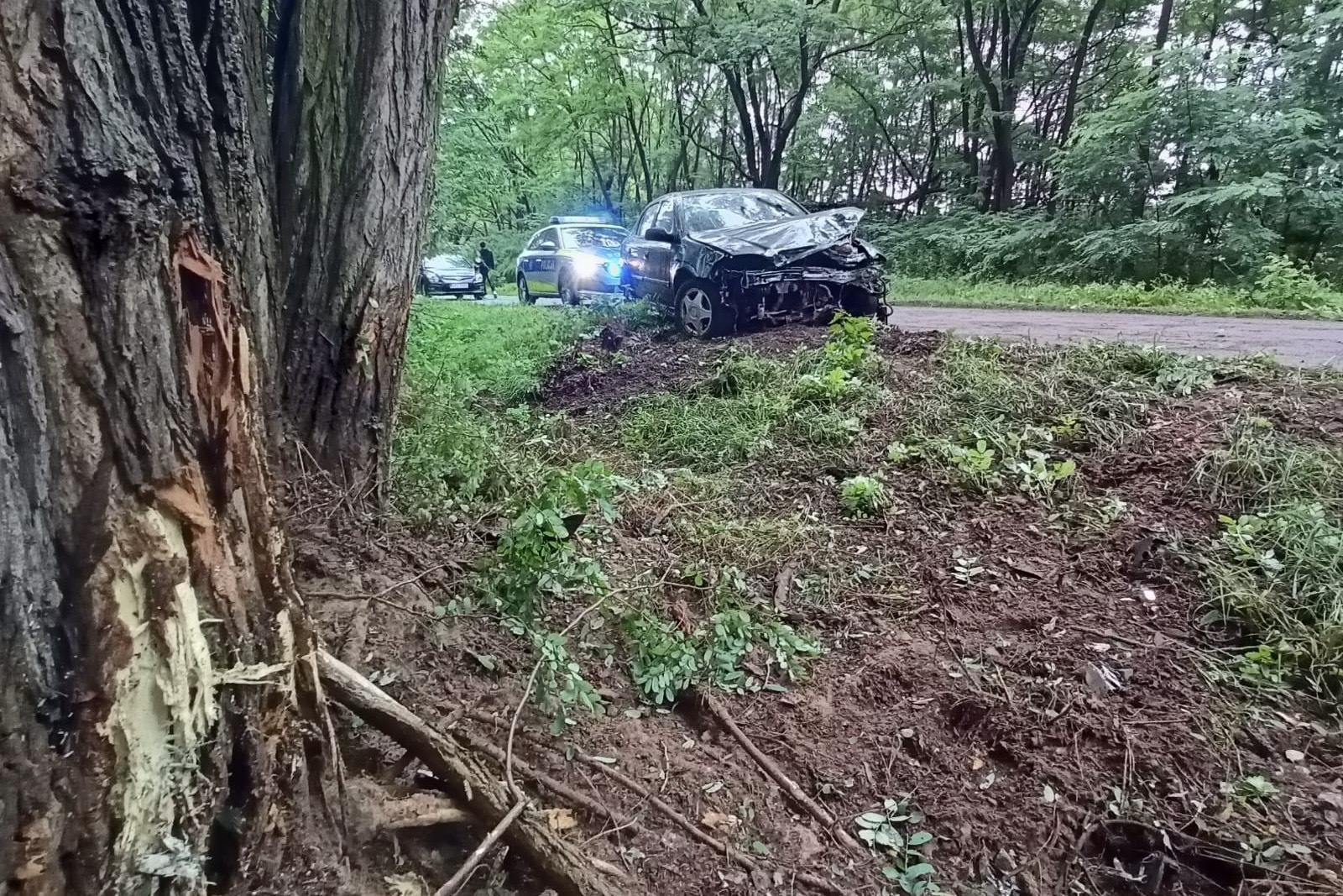Opel Astra uderzył w drzewo w Daniszewicach. 20-latka straciła panowanie nad pojazdem