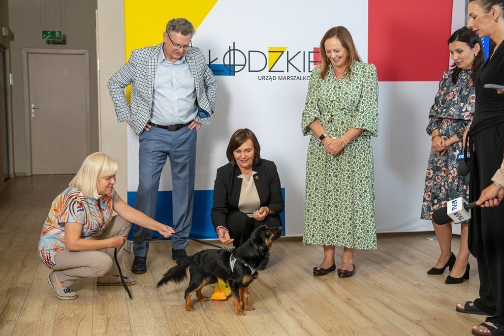 Samorządy łączą siły w walce z bezdomnością psów i kotów