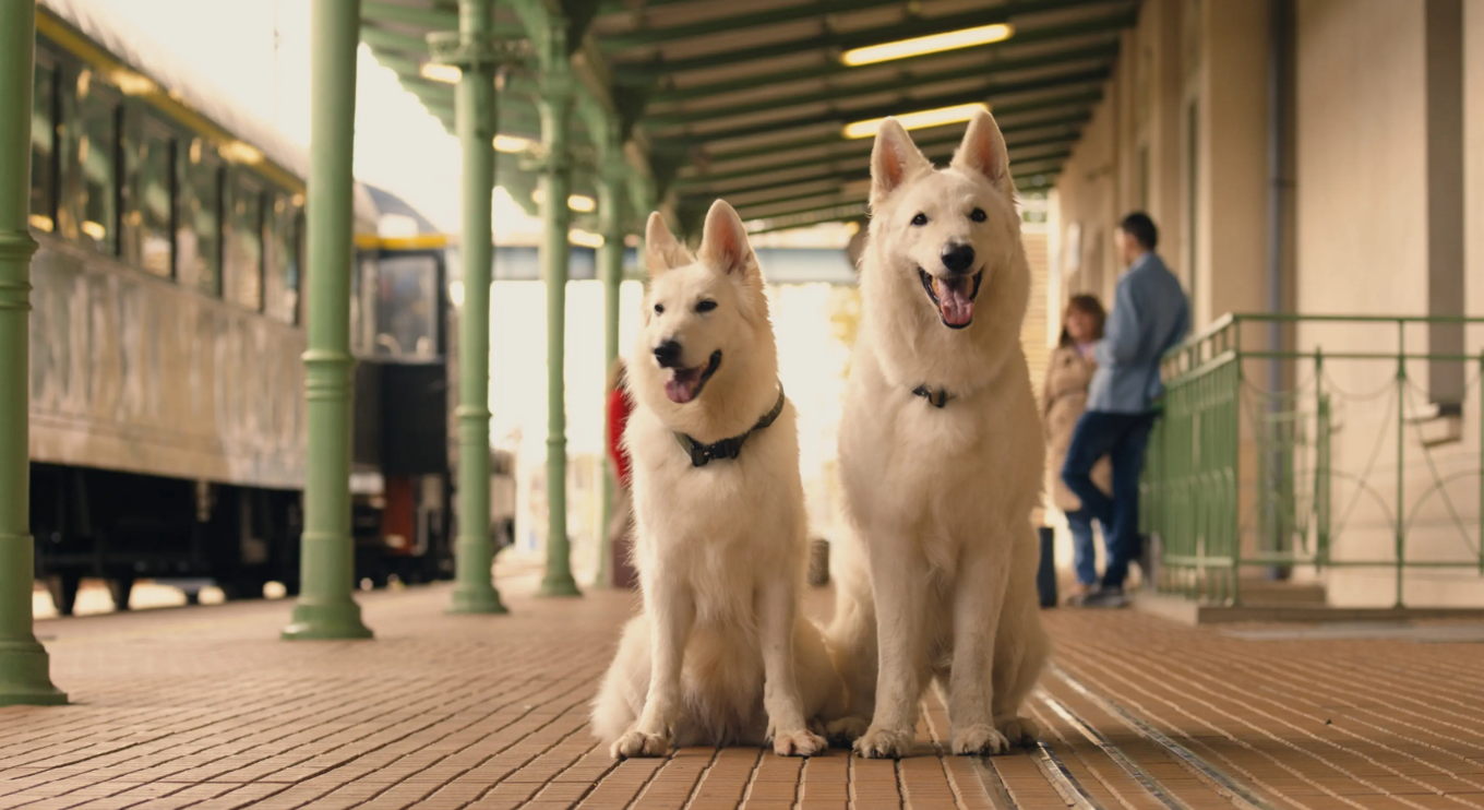 Pociąg do przygody morderczy weekend i zakręcony piątek - premiery miesiąca w Heliosie