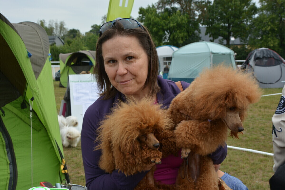 Międzynarodowa wystawa psów rasowych w Moszczenicy