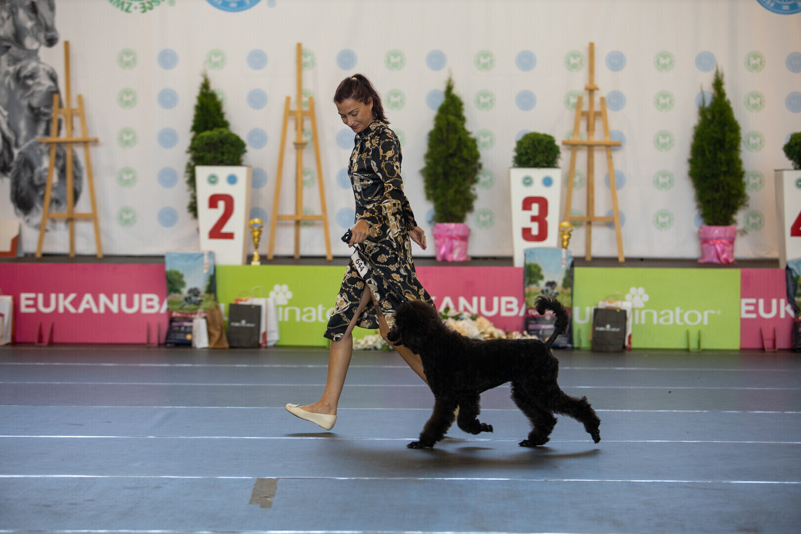 Wyniki Międzynarodowej i V Krajowej Wystawy Psów Rasowych w Moszczenicy. Prezentowano prawdziwe psie piękności