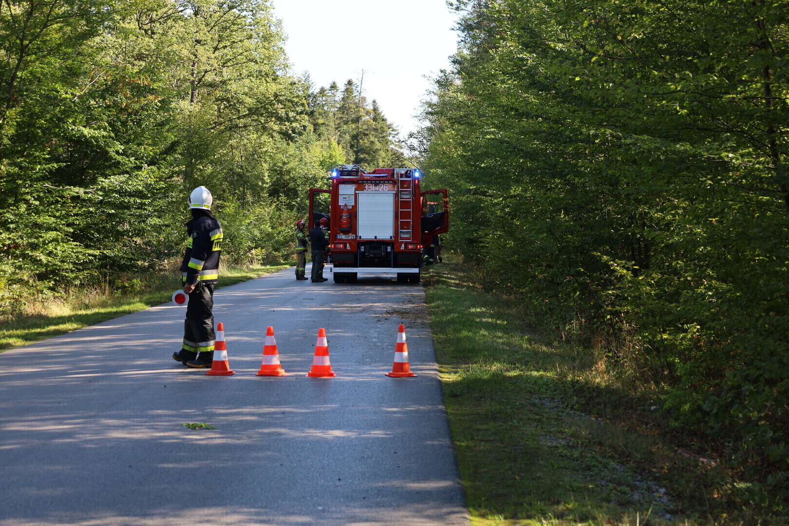 Zderzenie osobówki z jeleniem między Kołem a Lubiaszowem